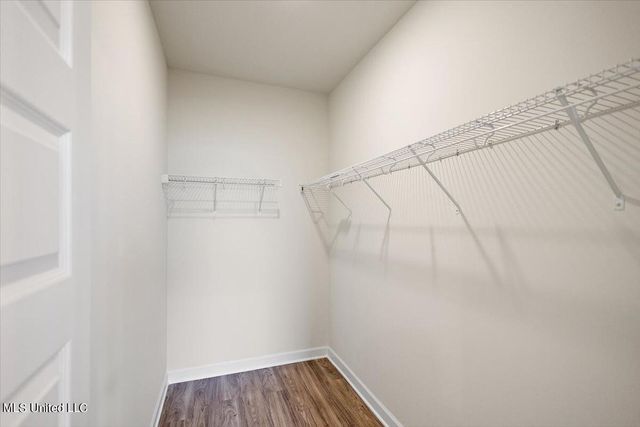 13854 Molly Madeline Lane, Olive Branch, MS 38654