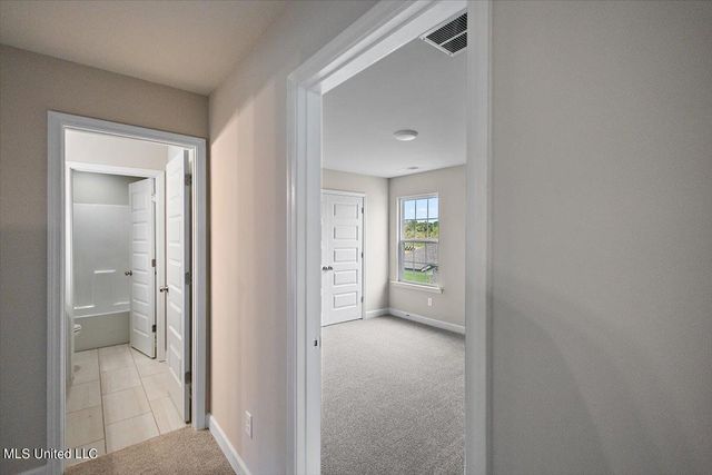 13854 Molly Madeline Lane, Olive Branch, MS 38654