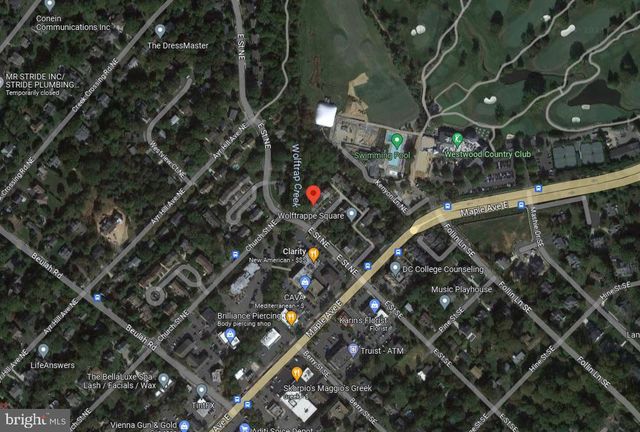 165 EAST ST NE, Vienna, VA 22180