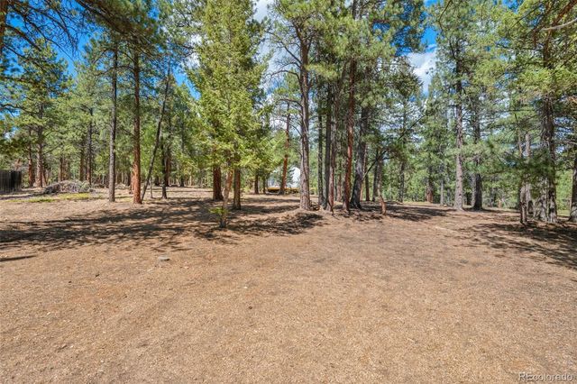 237 Road B, Pine, CO 80470