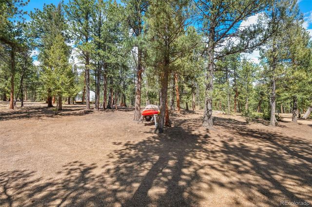 237 Road B, Pine, CO 80470