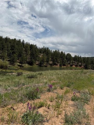 237 Road B, Pine, CO 80470