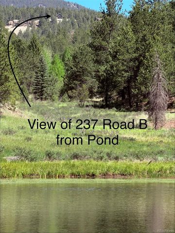 237 Road B, Pine, CO 80470