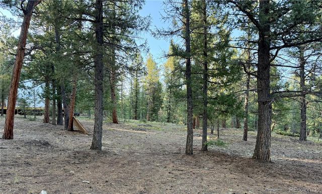 237 Road B, Pine, CO 80470