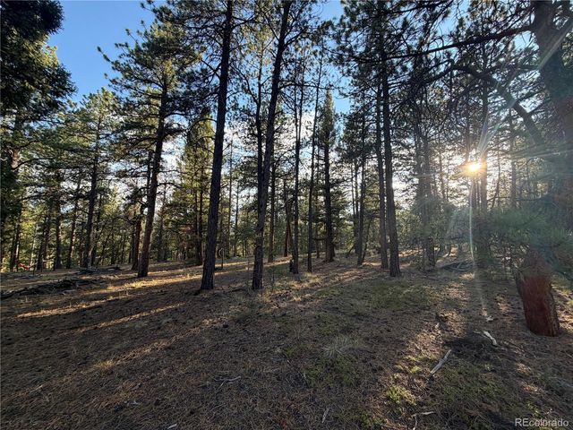 237 Road B, Pine, CO 80470