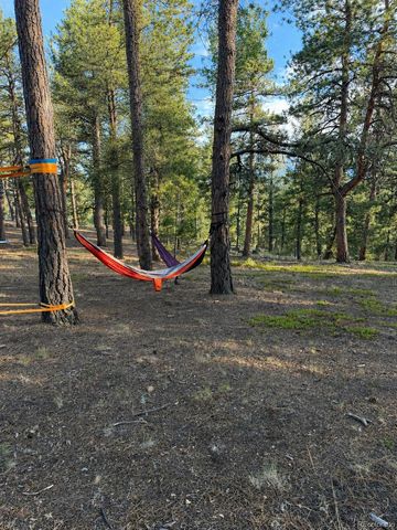 237 Road B, Pine, CO 80470