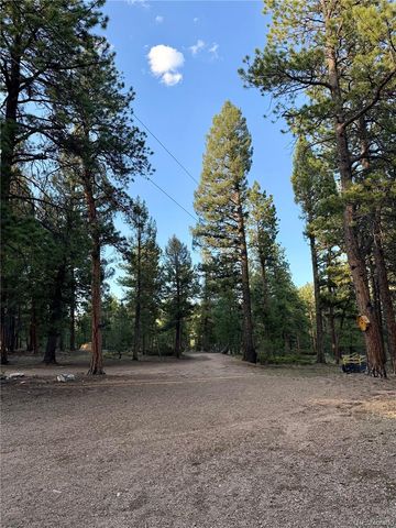 237 Road B, Pine, CO 80470