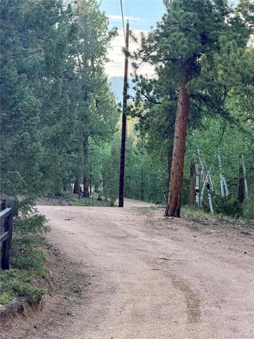 237 Road B, Pine, CO 80470