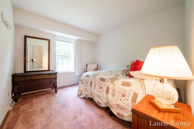 2670 Grand River Drive Ne, Ada Twp, MI 49525
