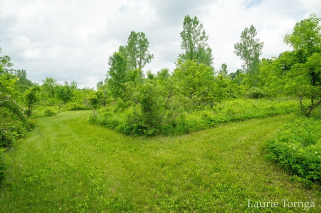 2670 Grand River Drive Ne, Ada Twp, MI 49525