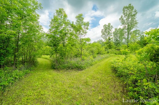 2670 Grand River Drive Ne, Ada Twp, MI 49525