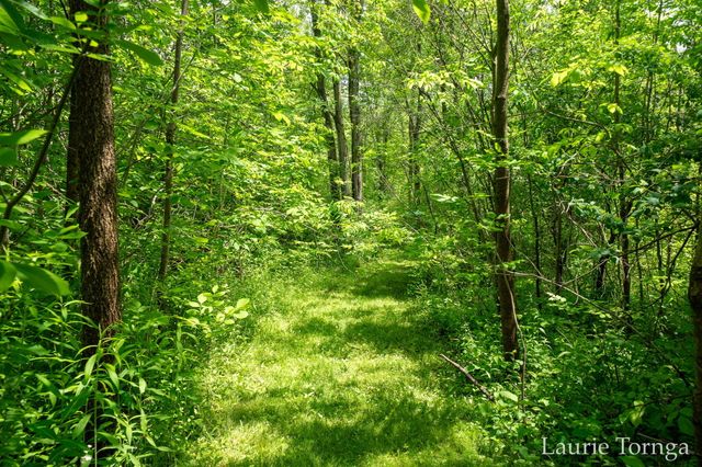 2670 Grand River Drive Ne, Ada Twp, MI 49525