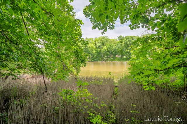 2670 Grand River Drive Ne, Ada Twp, MI 49525
