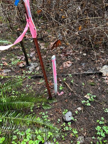 0 121st Avenue SE, Snohomish, WA 98290