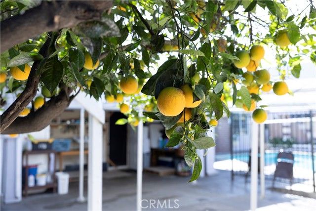 1113 San Bernardino Avenue, Pomona, CA 91767