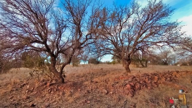 104 Clear View Drive, Fort Davis, TX 79734