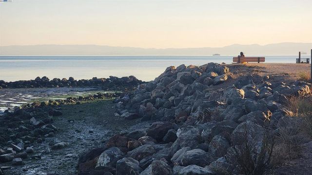 1321 Webster St D119, Alameda, CA 94501