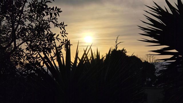 1321 Webster St D119, Alameda, CA 94501