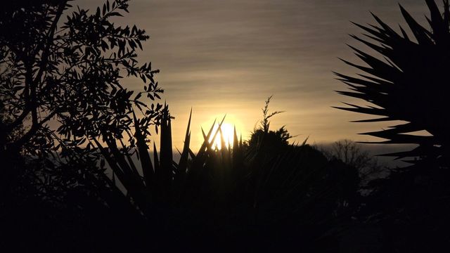 1321 Webster St D119, Alameda, CA 94501