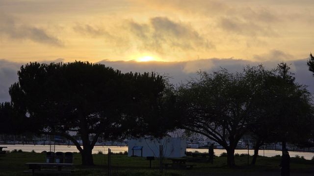 1321 Webster St D119, Alameda, CA 94501