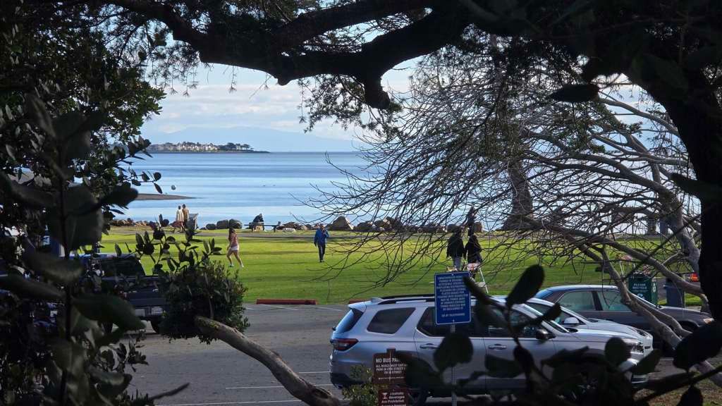 1321 Webster St D119, Alameda, CA 94501