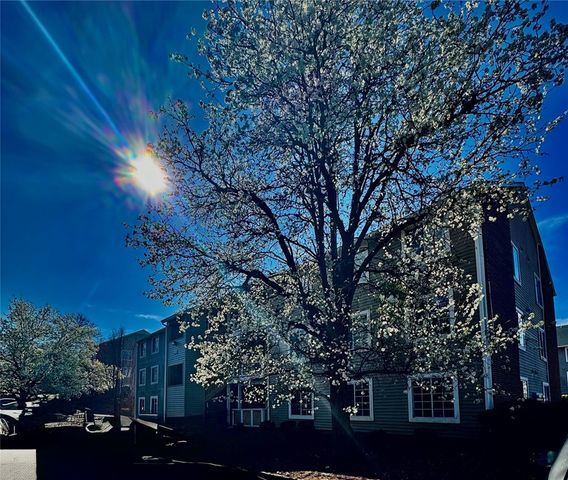 220 Elm Street 502, Clemson, SC 29631