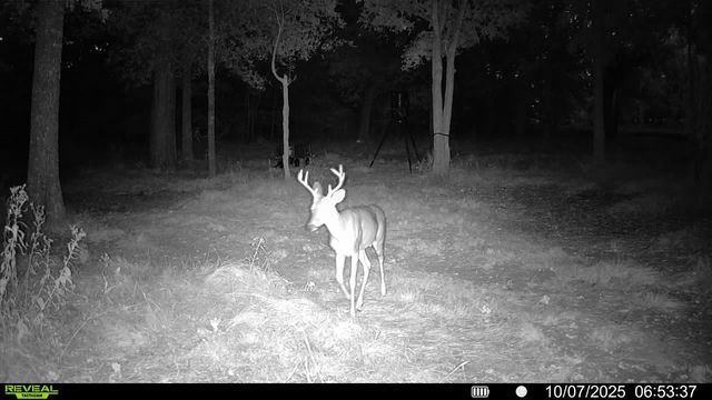 2387 Forehand Road, Trinidad, TX 75163