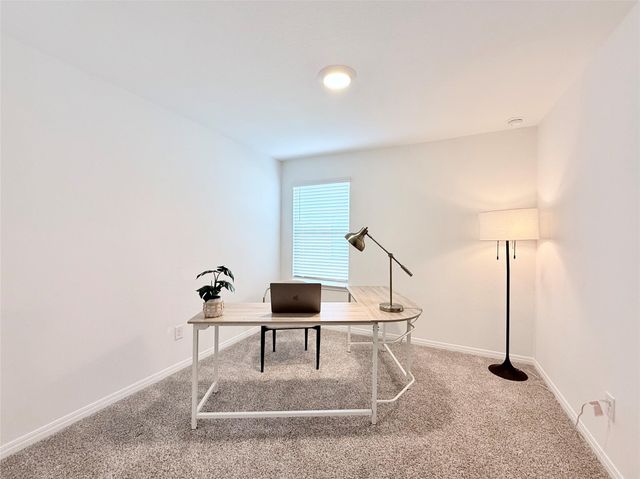 598 Gladiola LOOP, Kyle, TX 78640