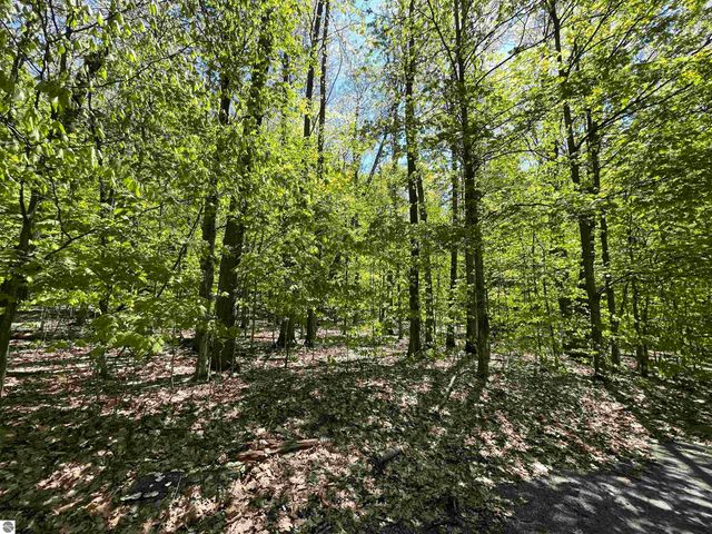 Lot 15 S Club Drive, Cedar, MI 49621