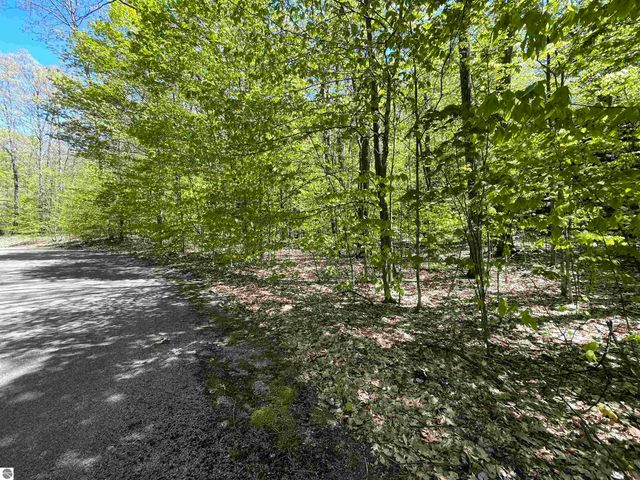 Lot 15 S Club Drive, Cedar, MI 49621