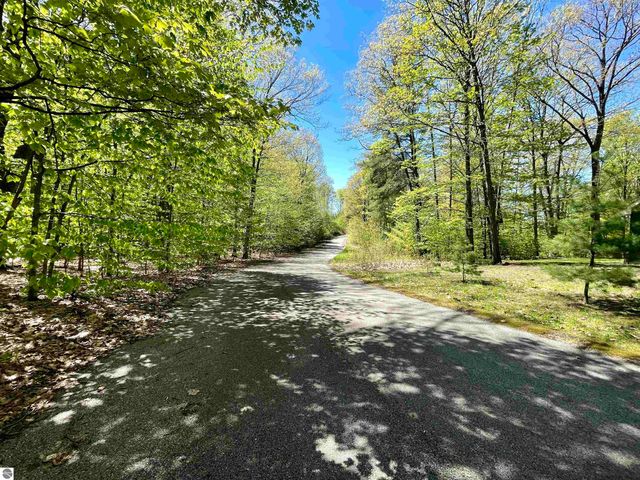 Lot 15 S Club Drive, Cedar, MI 49621