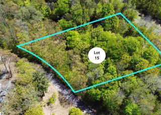 Lot 15 S Club Drive, Cedar, MI 49621