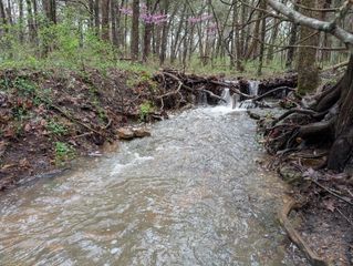 000 Grier Branch Lot 2 Road, Strafford, MO 65757