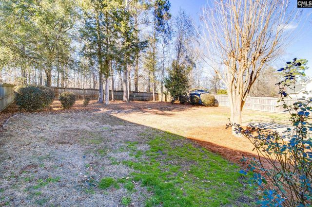 113 Caedmons Creek Drive, Irmo, SC 29063