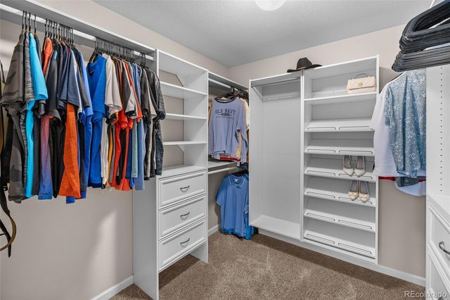 18102 Triple Crown Street, Parker, CO 80134