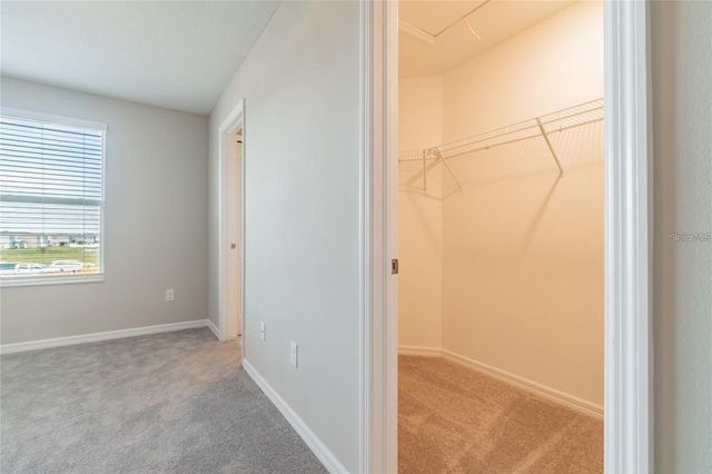 5012 WILD SENNA BOULEVARD, Tampa, FL 33619