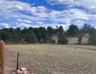 382 Arrowhead Drive, Florissant, CO 80816
