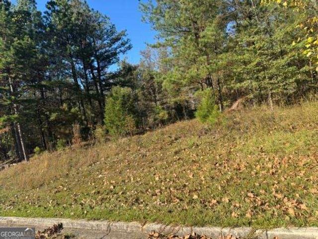 4020 Gold Springs Pass, Villa Rica, GA 30180