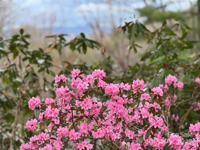 15 Elmwood Lane 161, Asheville, NC 28803