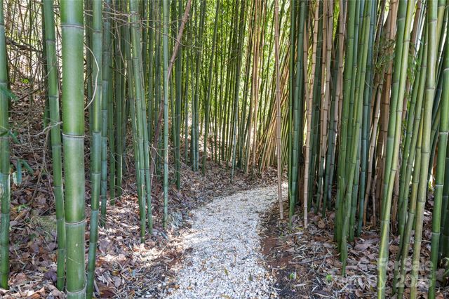 15 Elmwood Lane 161, Asheville, NC 28803