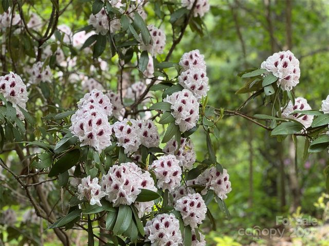 15 Elmwood Lane 161, Asheville, NC 28803