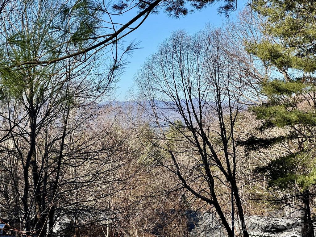 15 Elmwood Lane 161, Asheville, NC 28803