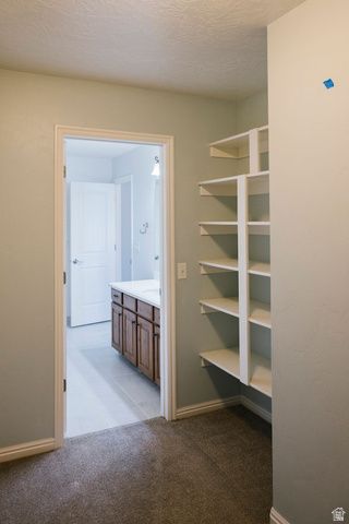 16 S 750 E, American Fork, UT 84003