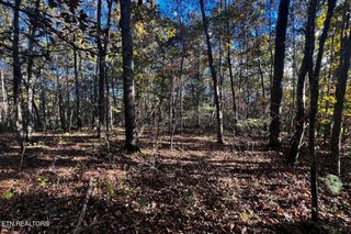 1320 Black Cloud Drive, Crossville, TN 38572