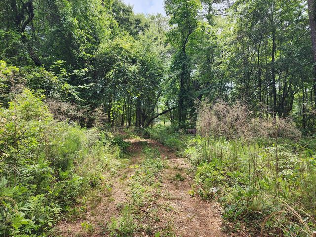 343 W End Drive, Moncks Corner, SC 29461