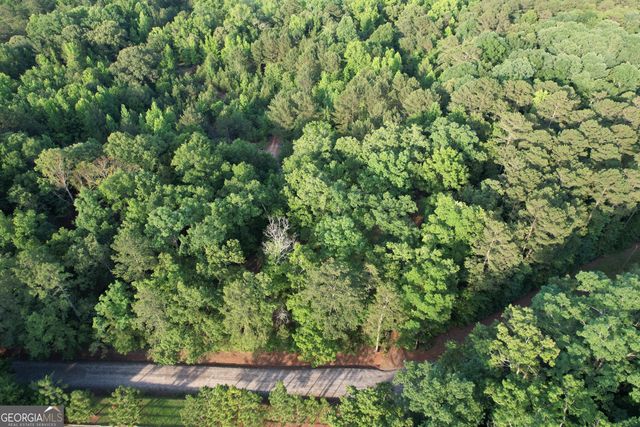 541B Ellis Dairy Road, Griffin, GA 30224