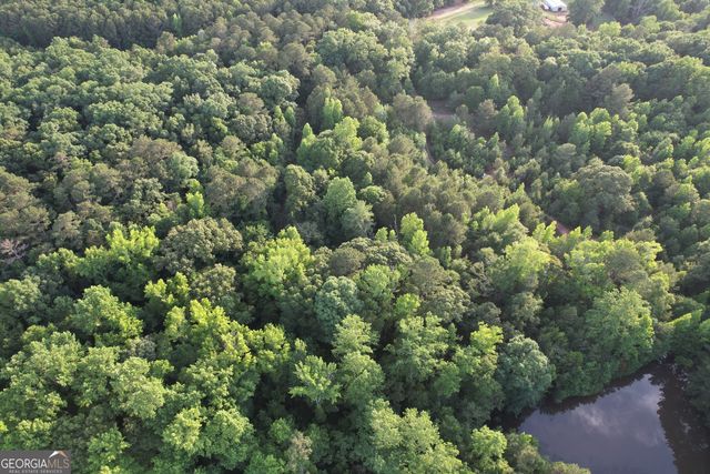 541B Ellis Dairy Road, Griffin, GA 30224