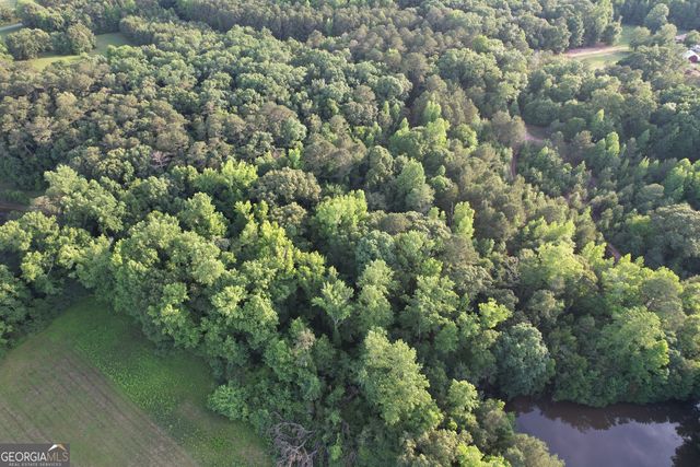 541B Ellis Dairy Road, Griffin, GA 30224