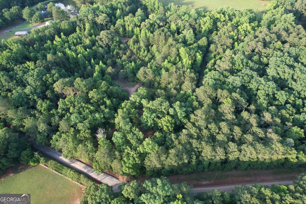 541B Ellis Dairy Road, Griffin, GA 30224