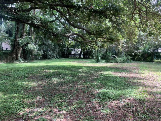 2013 LIVE OAK DRIVE, Fruitland Park, FL 34731